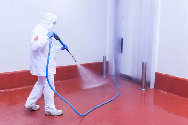 Professional Pressure Washing Services in North Laurel, MD